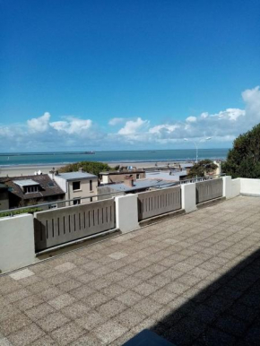 Vue panoramique, Nausicaa